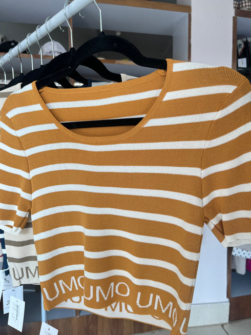 Strips Crop Tops